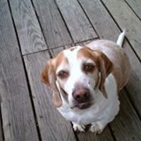 tammy_horsman_3 avatar