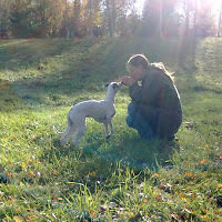 anetthedbrant avatar