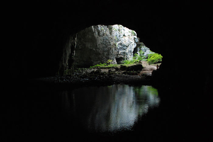 View from inside a beautiful cave showing rocky walls, green plants, and water reflecting light at the entrance