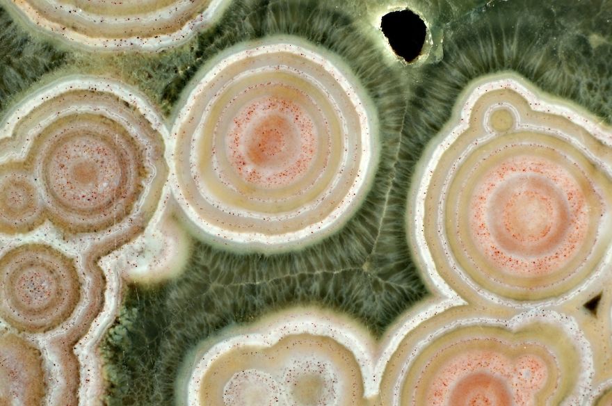 Inside A Rock! Stunning Images Of Ocean Jasper Macro To Micro