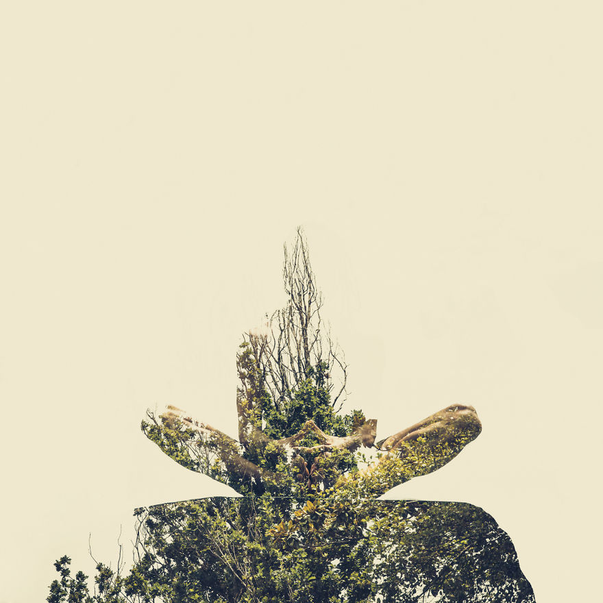 With The Help Of Yoga Instructors, I Create Surreal Photos That Blend Human Body With Plant Forms