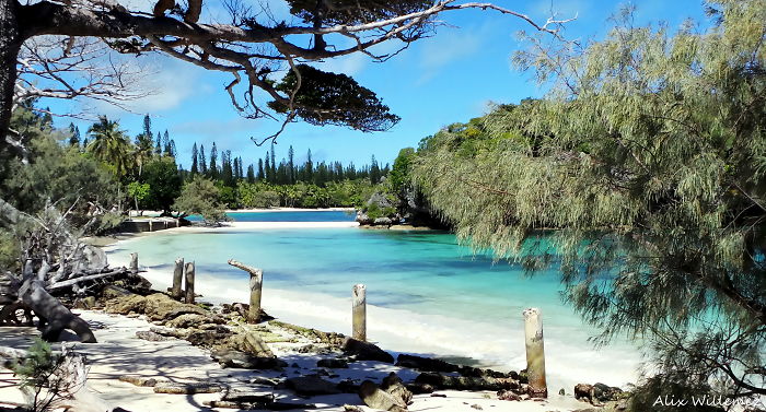 Island Of Pines, New Caledonia