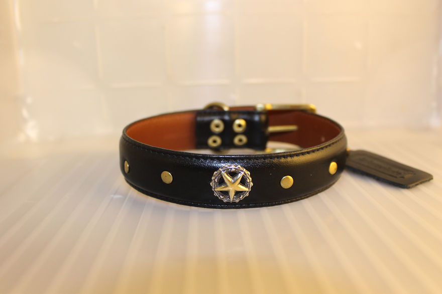 Lucky Dog Upcycle: My Rescue Dog Inspired Me To Create Dog Collars Out Of Old Belts