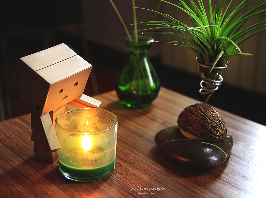 My Photographic Project Of The Famous Danbo