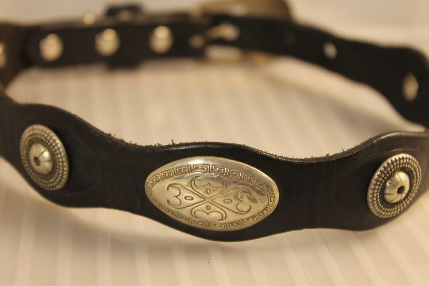 Lucky Dog Upcycle: My Rescue Dog Inspired Me To Create Dog Collars Out Of Old Belts