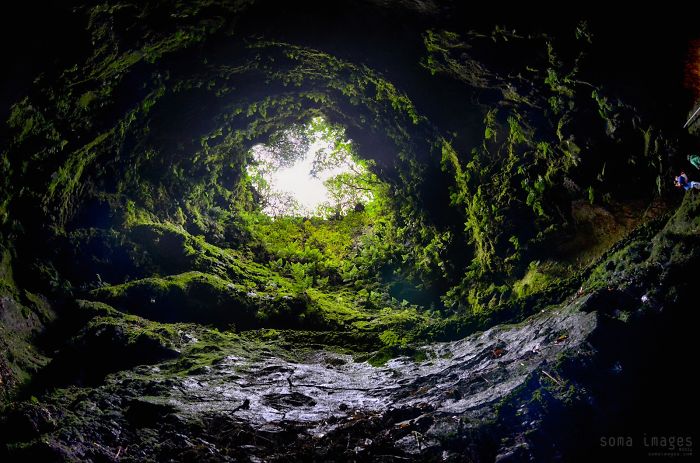 View of a beautiful cave opening covered with green moss and plants, showcasing natural light from above.