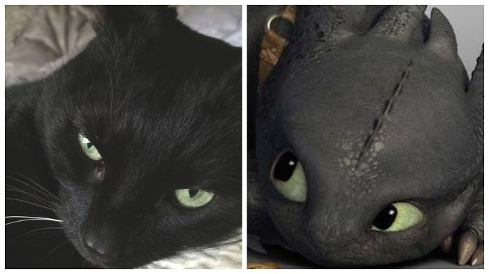 Yami And Toothless