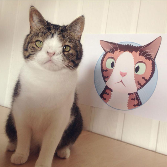 Meet Monty: The Adorable Cat With An Unusual Face