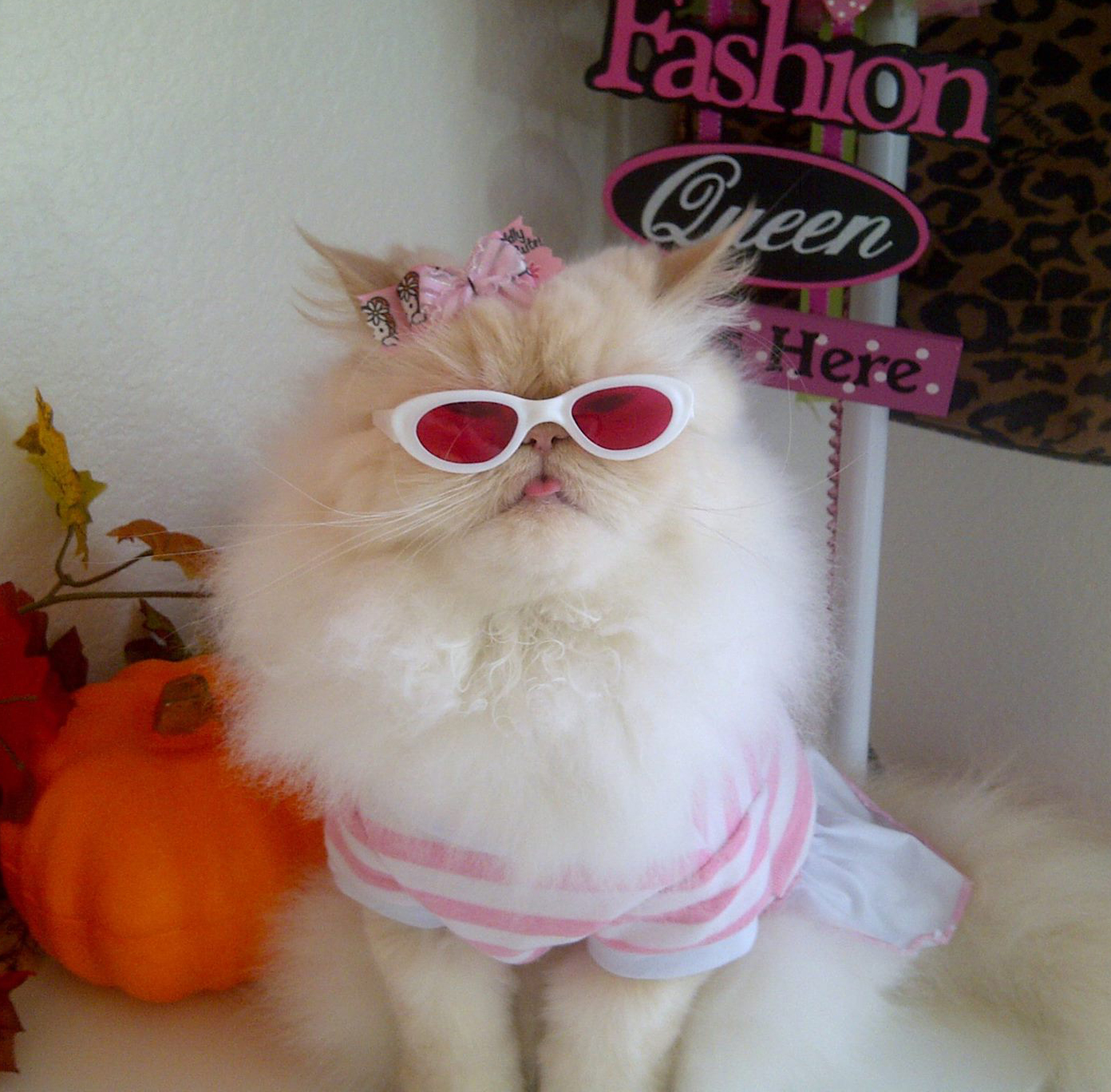 Luna, The Fashion Diva