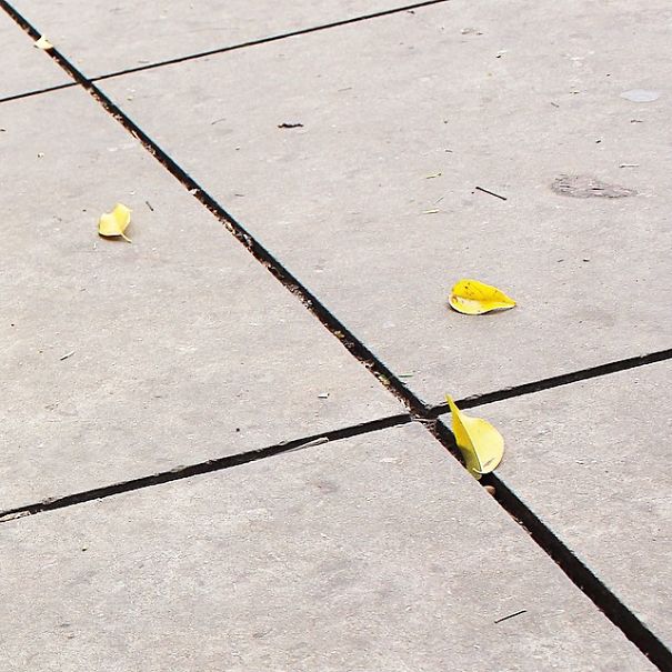 This Instagram Profile Shows That Geometry Is In Everywhere - And It's Beautiful