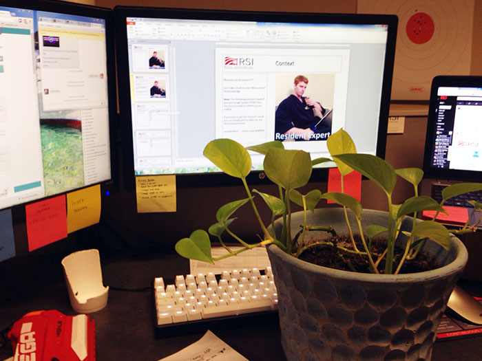 A Coworker Asked This Guy To Watch Her Plant For 4 Days. Here's What He Did