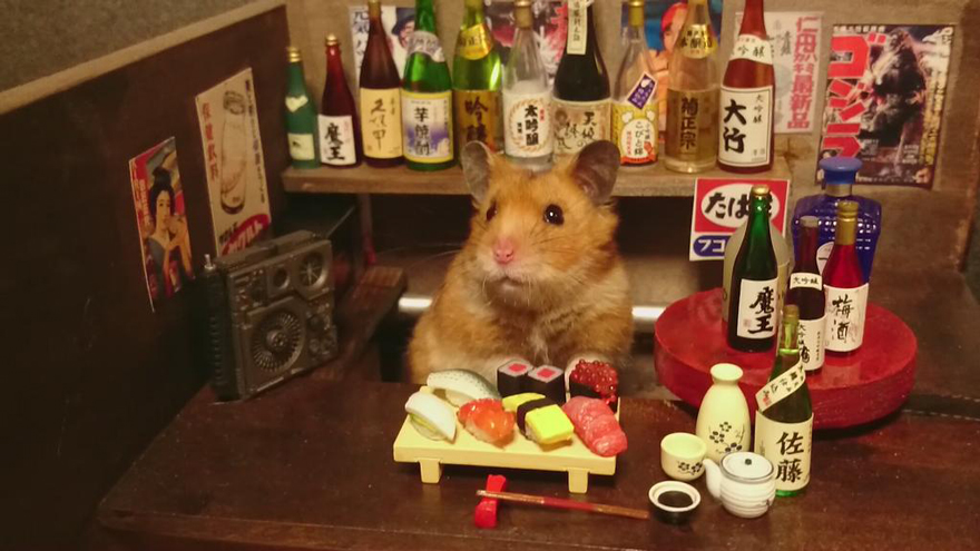 hamster-bartender-miniature-bar-kawanabesatou-13