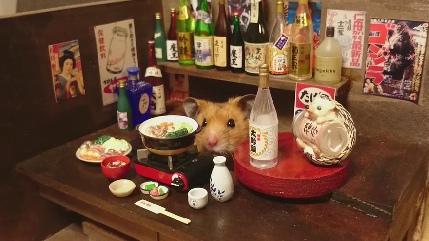Little Hamster Bartenders Serving Tiny Food and Drinks