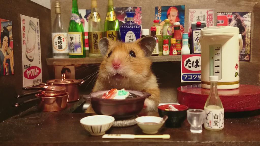 Little Hamster Bartenders Serving Tiny Food and Drinks