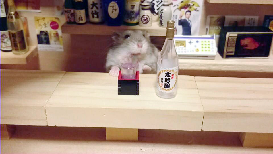 hamster-bartender-miniature-bar-kawanabesatou-23