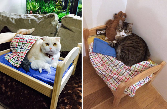 Japanese Cat Owners Turn IKEA Doll Beds Into Adorable Cat Beds