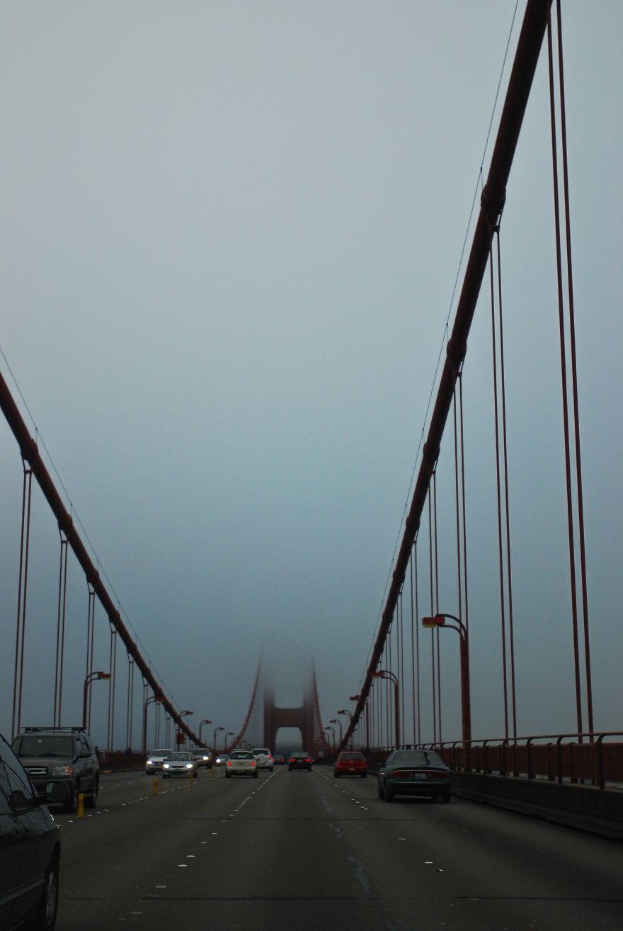 Hide And Seek. Golden Bridge, San Francisco