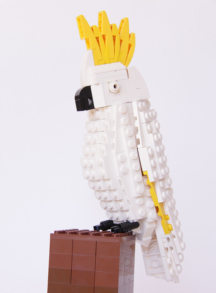 Bird Enthusiast Creates LEGO Birds And 10,000 Supporters Get LEGO To Mass-Produce Them
