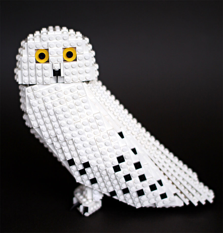 Bird Enthusiast Creates LEGO Birds And 10,000 Supporters Get LEGO To Mass-Produce Them