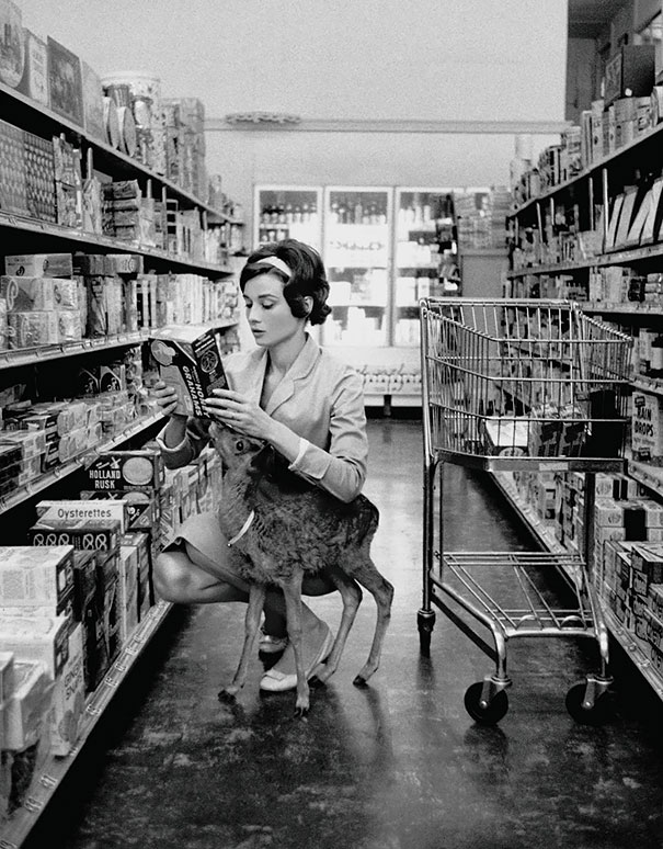 Audrey Hepburn Shopping With Her Pet Deer “ip” In Beverly Hills, Ca, 1958