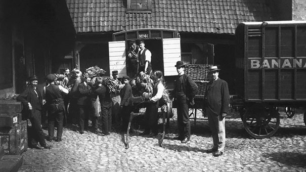 Norway Receive Their First Ever Shipment Of Bananas,1905