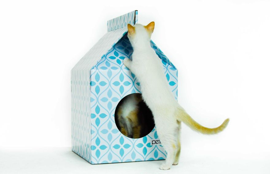 Cute Playhouses For Cats