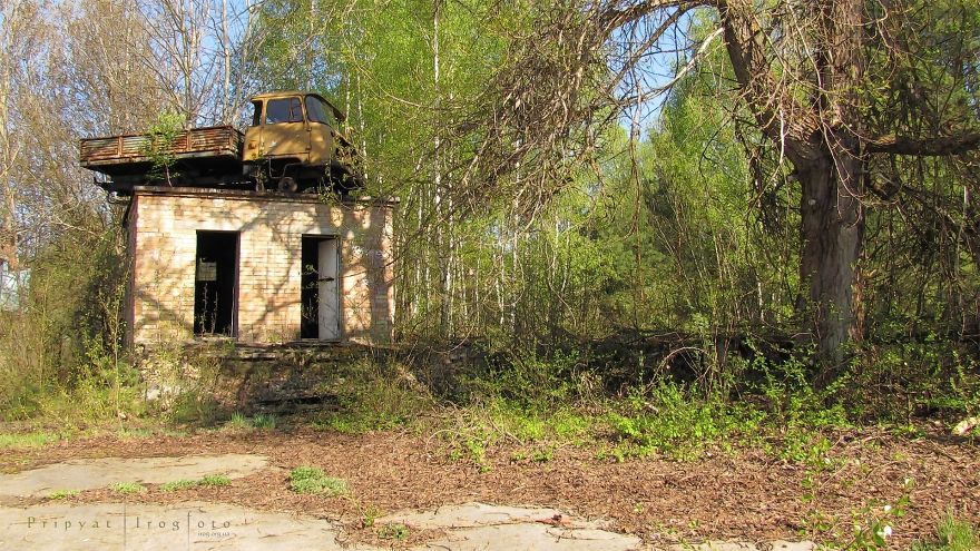Rusting Iron Of Chernobyl