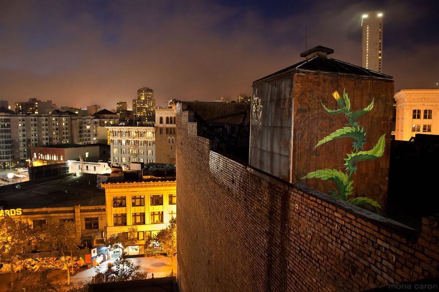 I Paint Weed Murals That Slowly Take Over The City (Gifs+Video)
