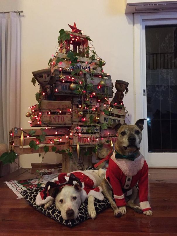 Pancho's And Rosita's Christmas