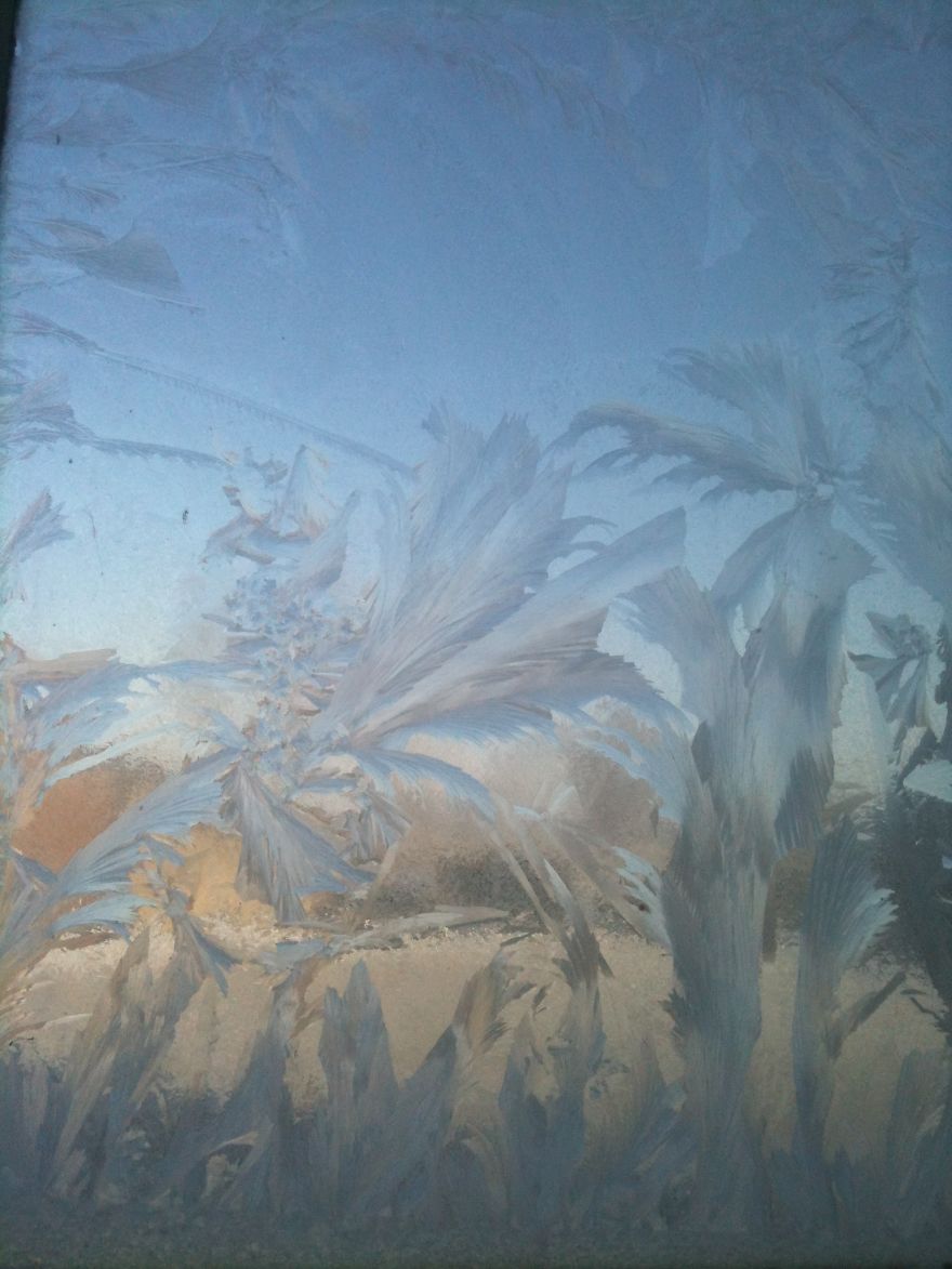 Ice Flowers On My Window After A Very Cold Night