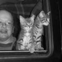 sharon_paight avatar