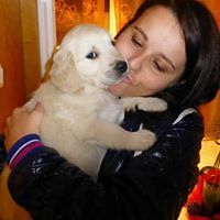 splendorhelen avatar