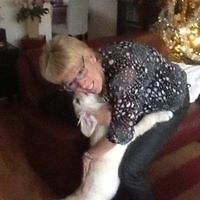 lia_haazebroek avatar