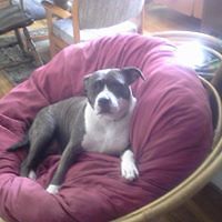 james_caldwell_5074 avatar