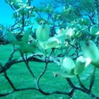 sandy_palmer_54 avatar