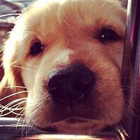 OsvaldoSalazarVillagra avatar