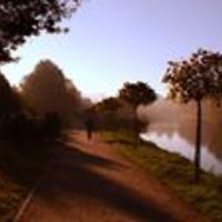 5493fea29e77c avatar