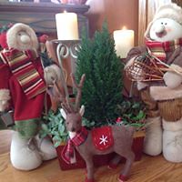 pat_hamilton_902 avatar