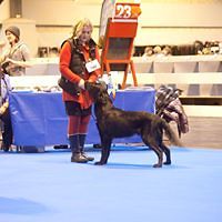 terri_durrant_1 avatar