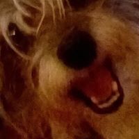 angie_sims_568 avatar