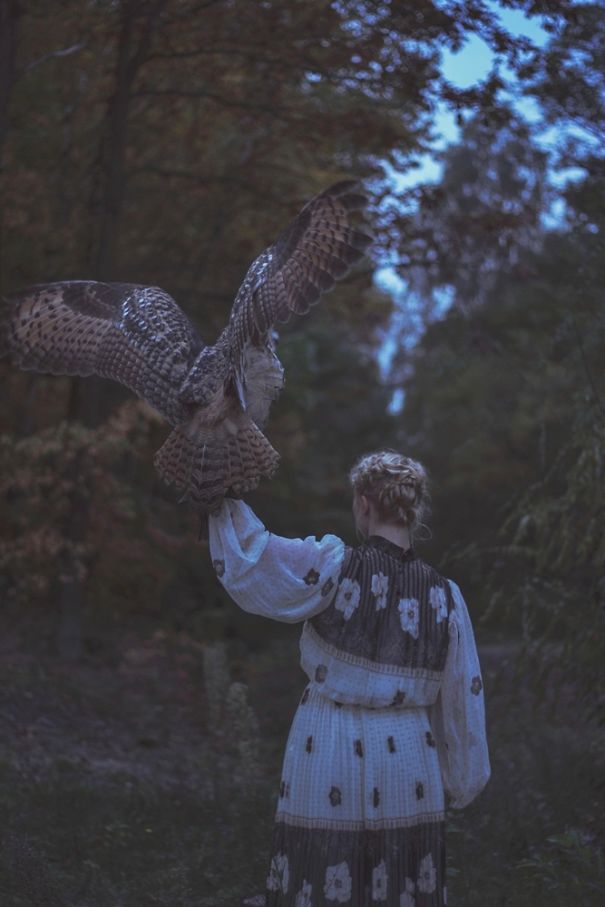 The Owls Are Not What They Seem - Photo Session With Real Birds