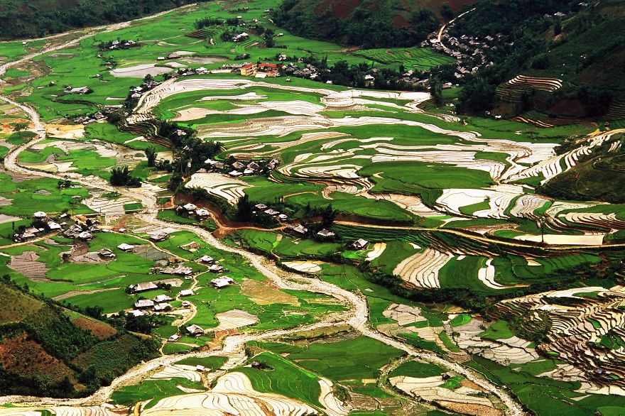 Rice Field In Tu Le, Yen Bai, Vietnam