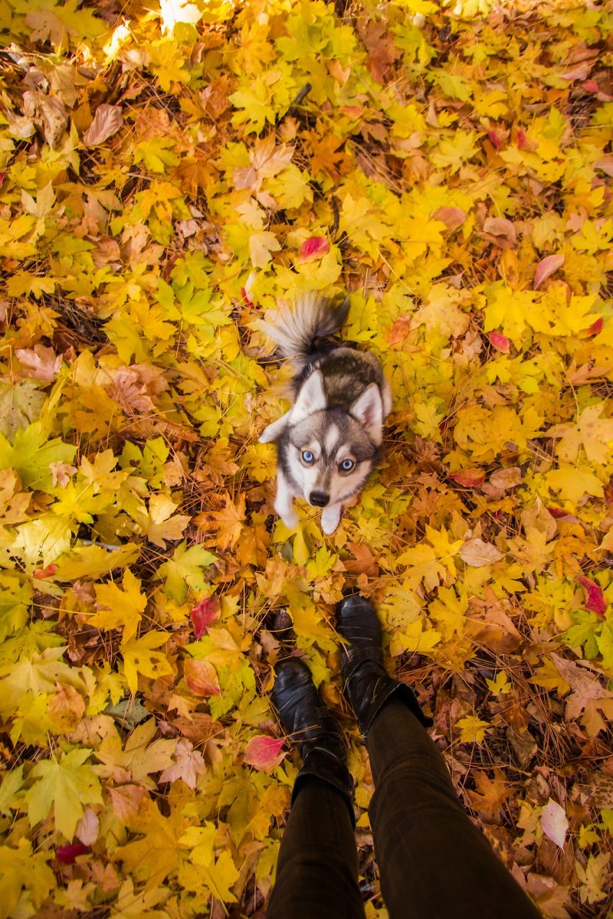 Chasing The Magic Of Autumn