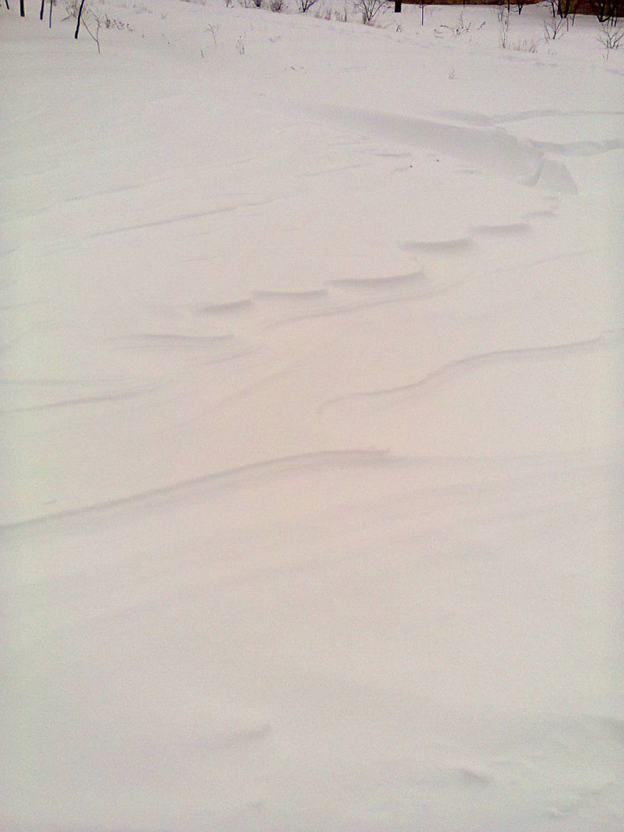 Untouched Snow Shapes Formed By Wind