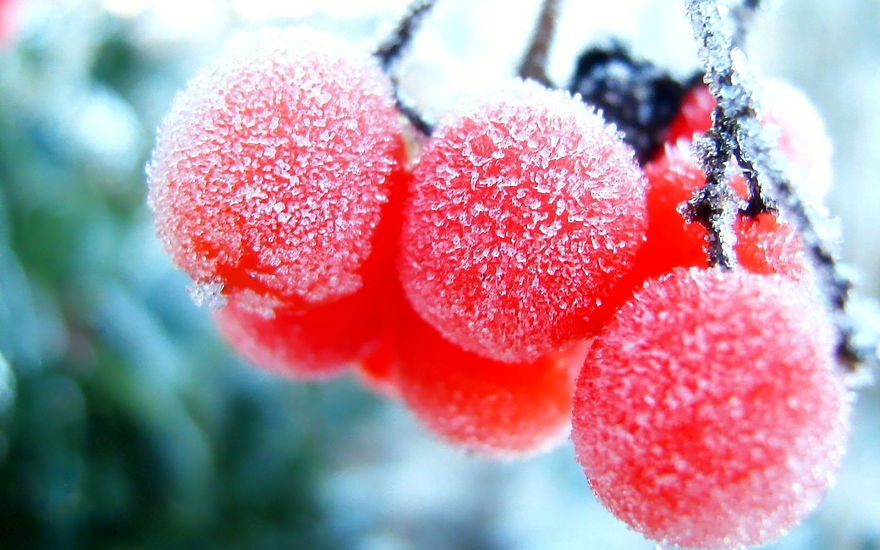 161 Beautiful Ice And Snow Formations That Look Like Art Bored Panda Images, Photos, Reviews