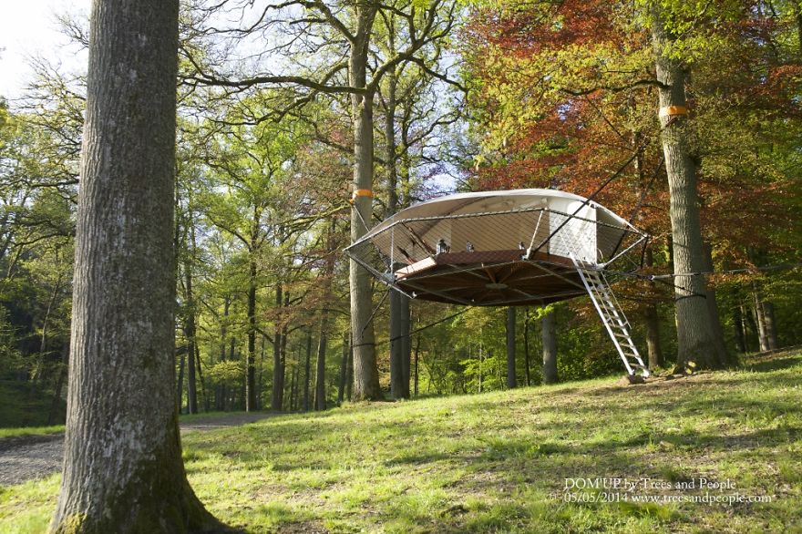 We Have Designed A New Kind Of Tree-houses.