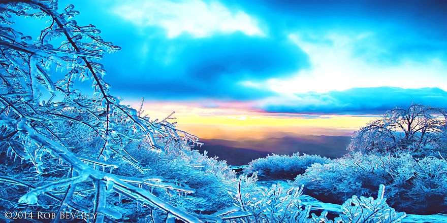 Ice Tree Sunrise