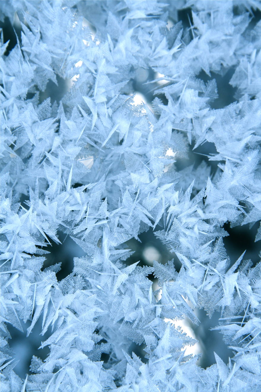 Ice Crystals On Chicken Wire, By Oona Bissitt