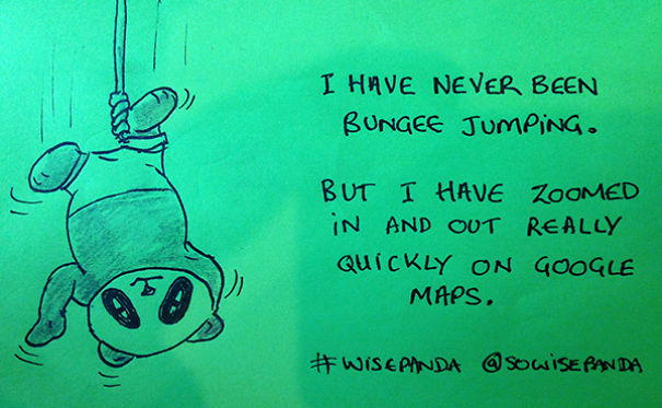 Insights From A Panda