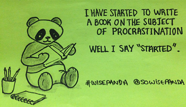 Insights From A Panda